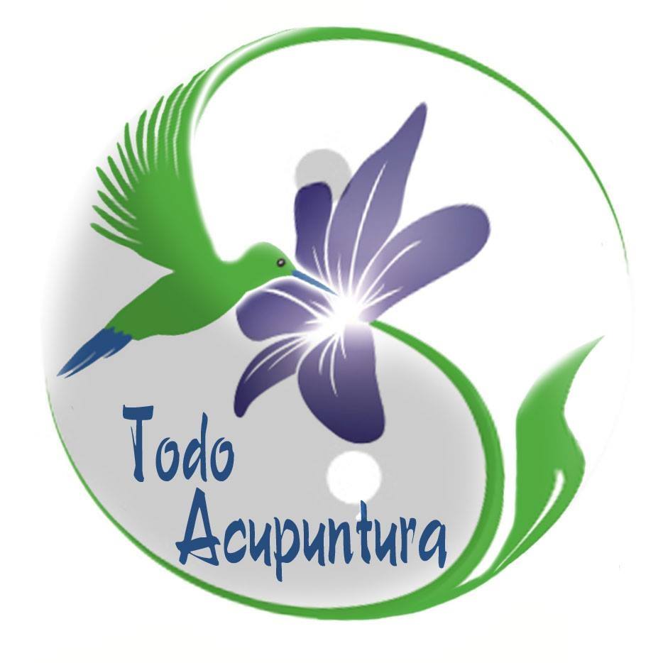 Todo acupuntura
